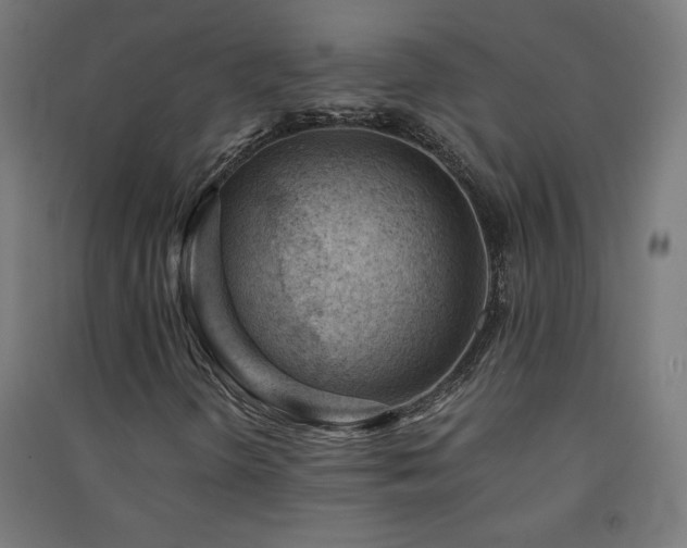 X0000091571298200708201136