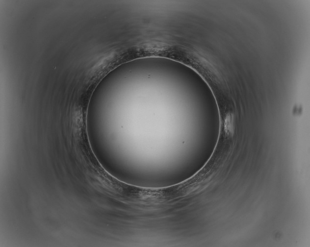 X0000091571299200708201136