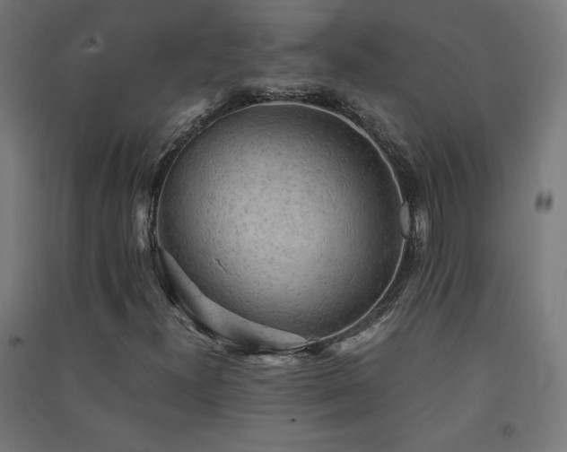 X0000091571300200708201136