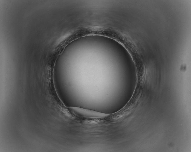 X0000091571301200708201136