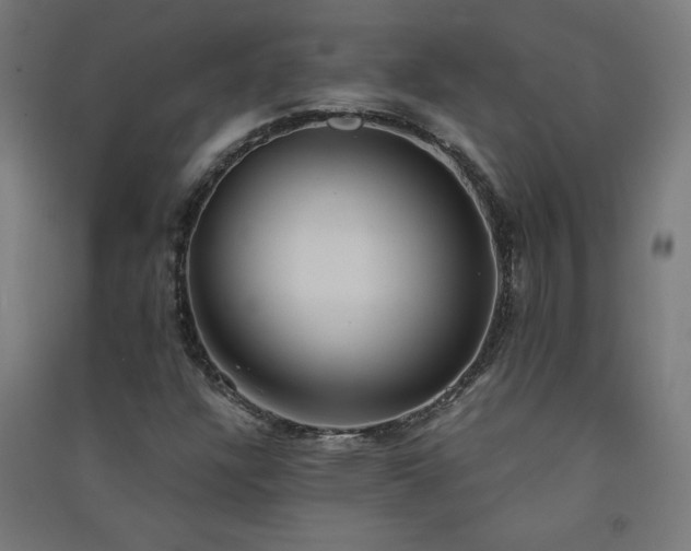 X0000091571304200708201136