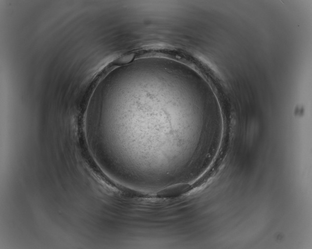 X0000091571305200708201136