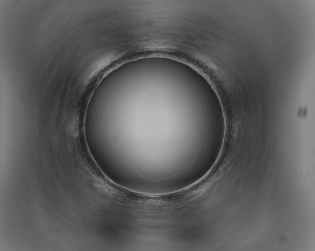 X0000091571306200708201136