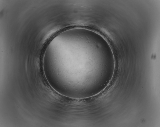 X0000091571307200708201136