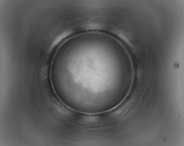 X0000091571309200708201136