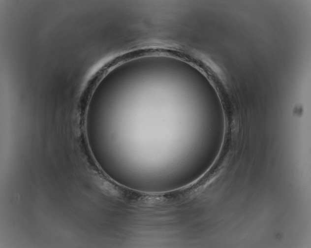 X0000091571310200708201136