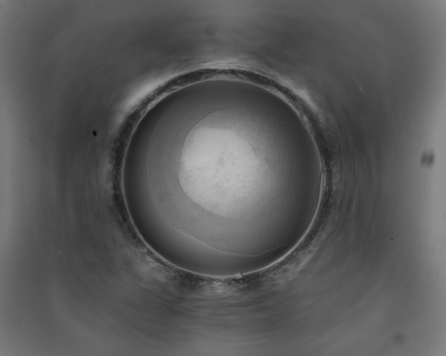 X0000091571311200708201136
