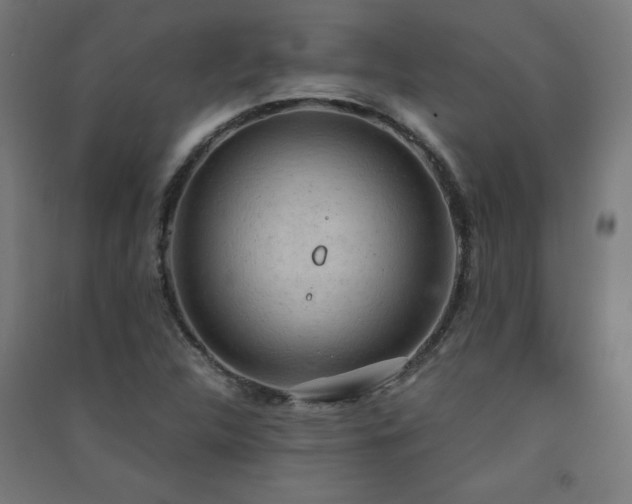 X0000091571312200708201136