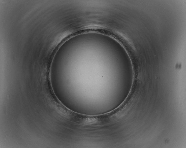 X0000091571313200708201136