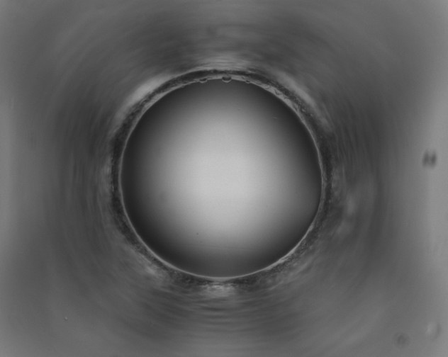 X0000091571315200708201136