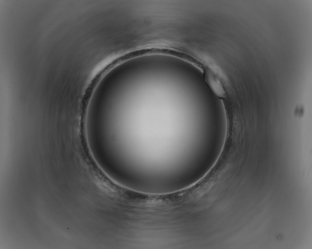 X0000091571316200708201136