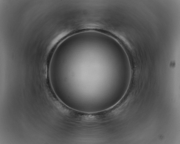 X0000091571317200708201136