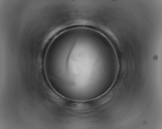 X0000091571318200708201136