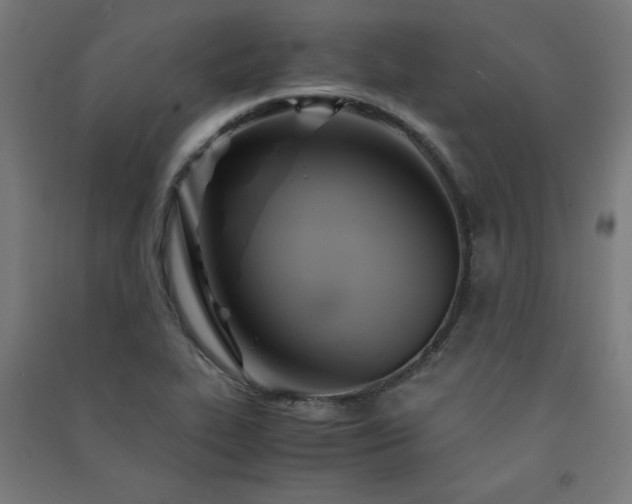 X0000091571319200708201136