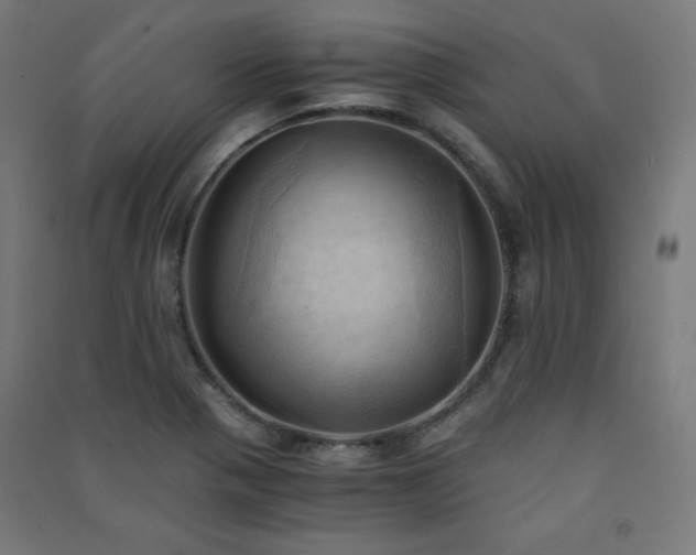 X0000091571321200708201136