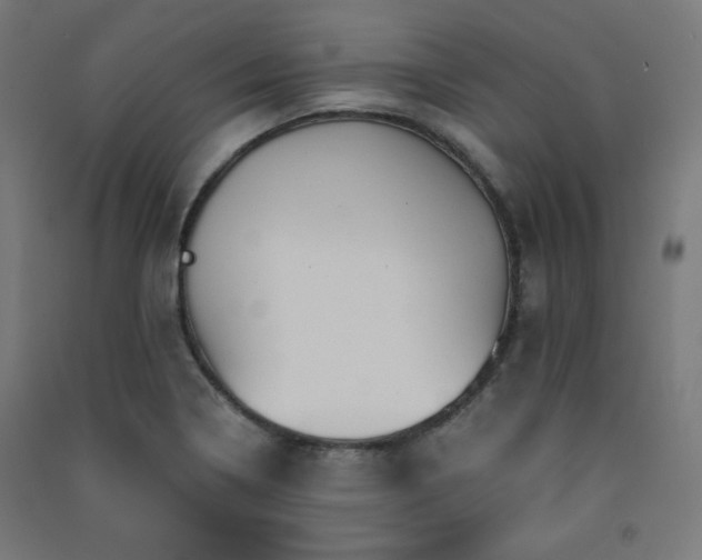 X0000091571322200708201136