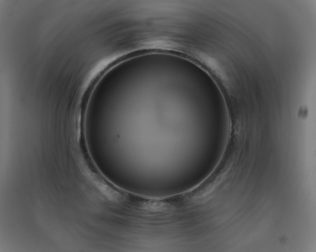 X0000091571323200708201136