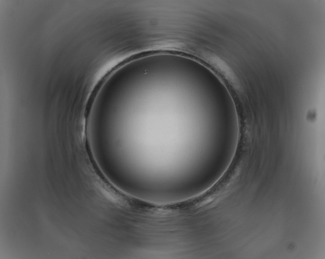 X0000091571324200708201136