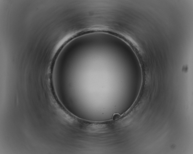 X0000091571325200708201136