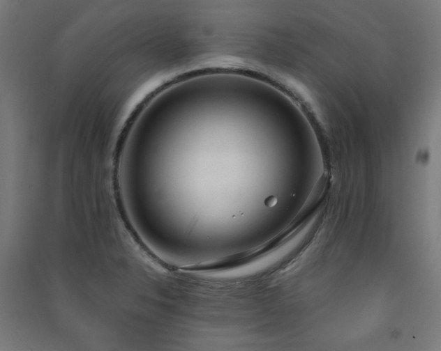 X0000091571326200708201136