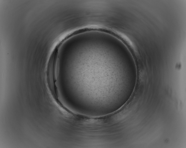 X0000091571327200708201136