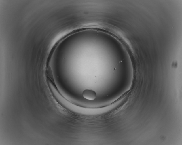 X0000091571328200708201136