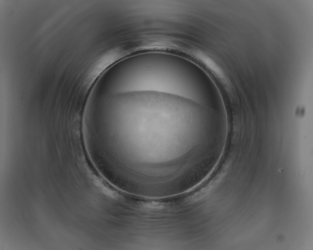 X0000091571329200708201136