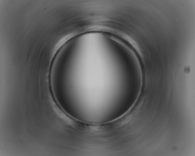 X0000091571330200708201136