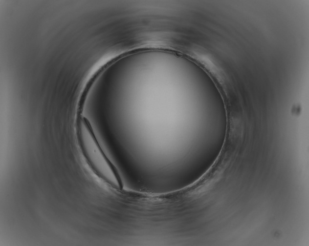 X0000091571331200708201136