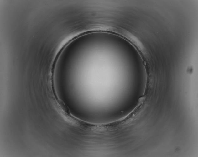 X0000091571332200708201136