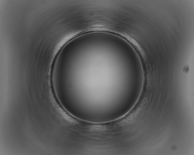 X0000091571333200708201136