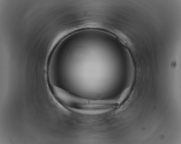 X0000091571334200708201136