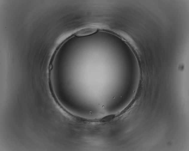 X0000091571335200708201136