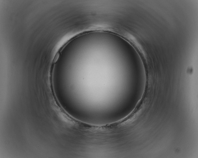 X0000091571336200708201136