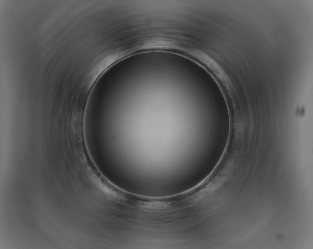 X0000091571337200708201136