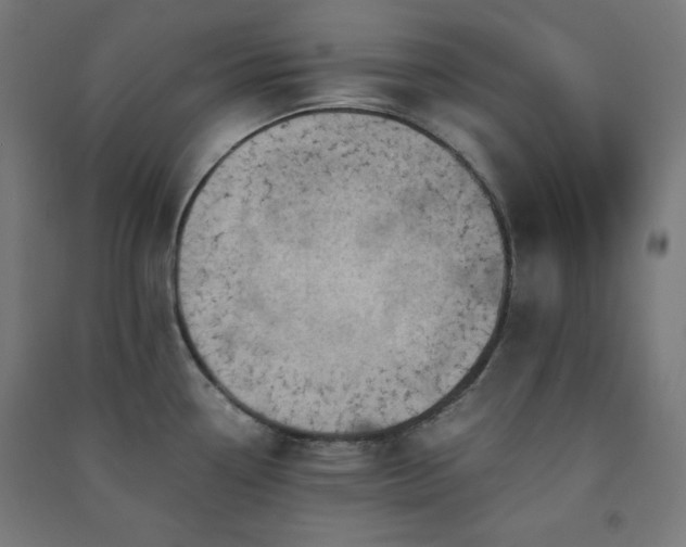 X0000091571338200708201136