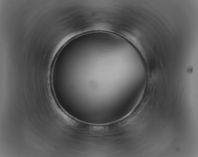 X0000091571339200708201136