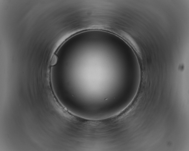 X0000091571340200708201136