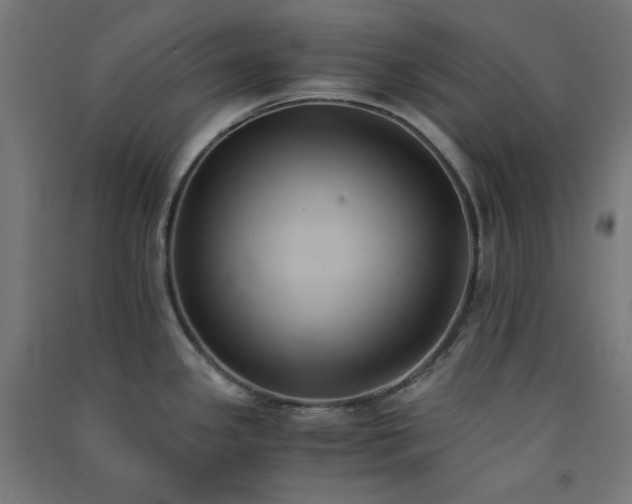 X0000091571341200708201136