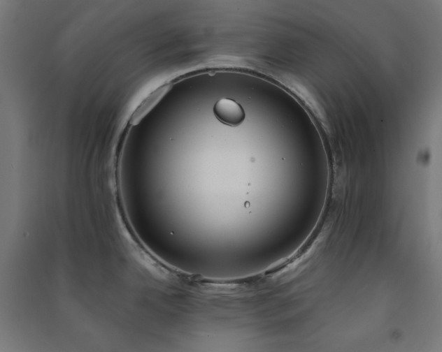 X0000091571342200708201136