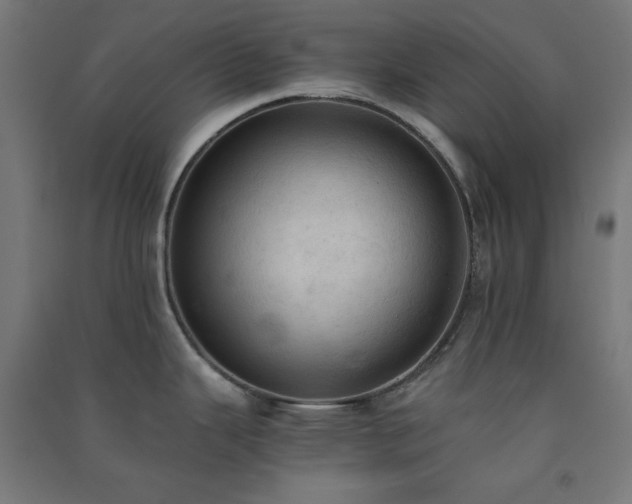 X0000091571343200708201136