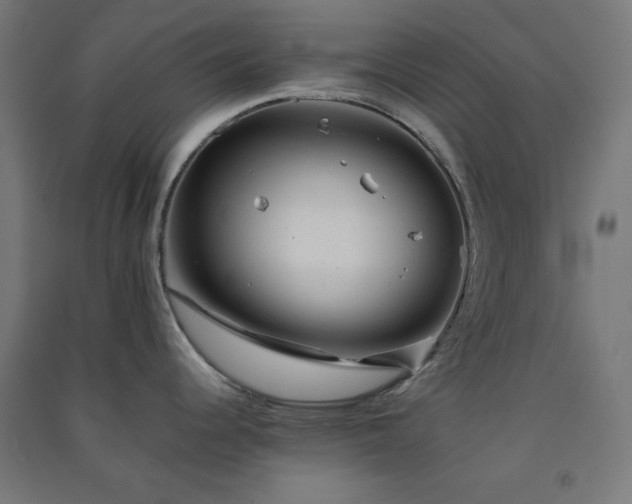X0000091571344200708201136