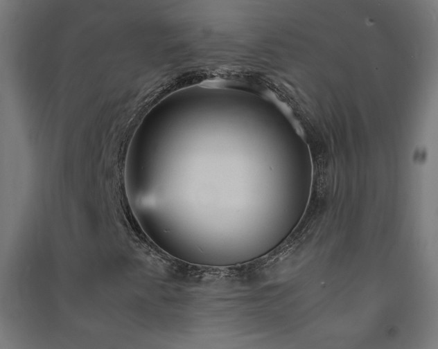 X0000091571345200708201136