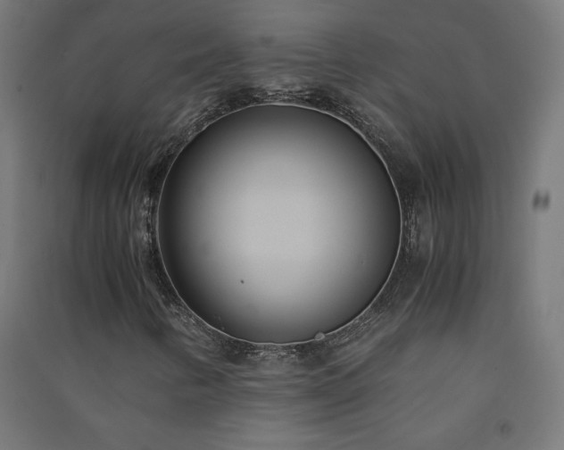 X0000091571346200708201136