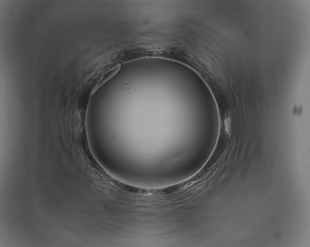 X0000091571347200708201136