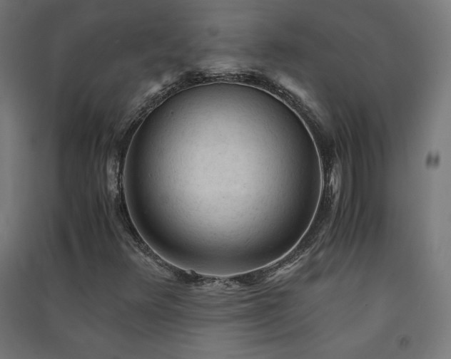 X0000091571348200708201136