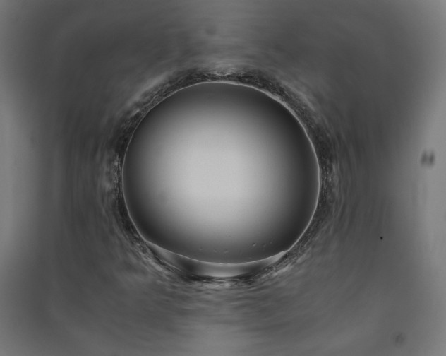 X0000091571349200708201136