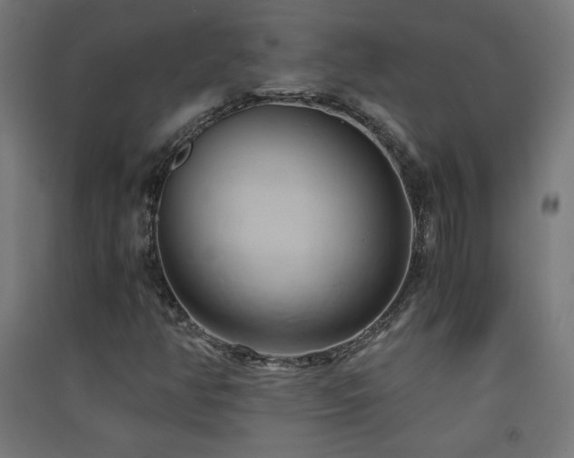 X0000091571350200708201136
