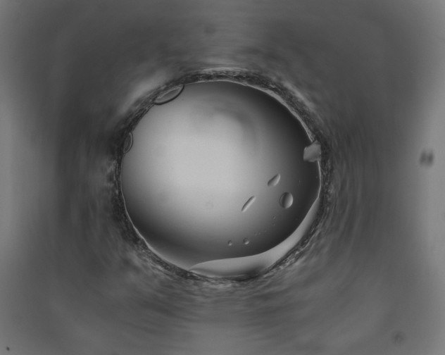 X0000091571351200708201136