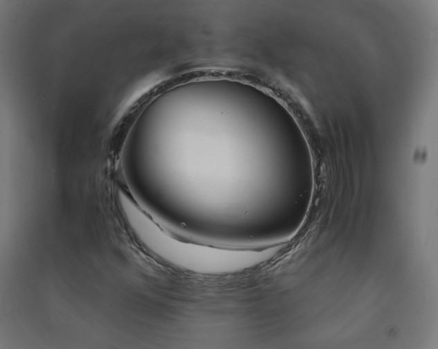 X0000091571352200708201136